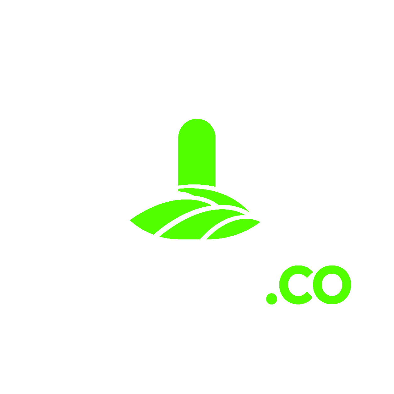 flosho.co
